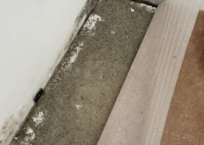 Dégâts des eaux Pennautier