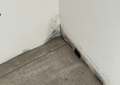 Dégâts des eaux Pennautier